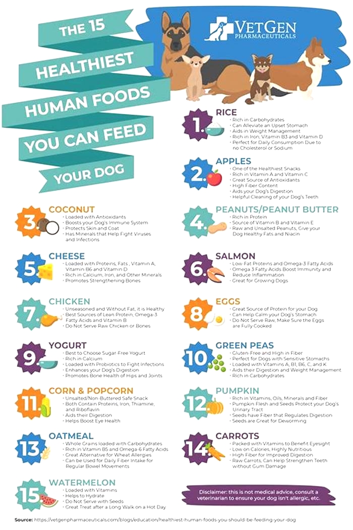 20 human foods dogs can eat