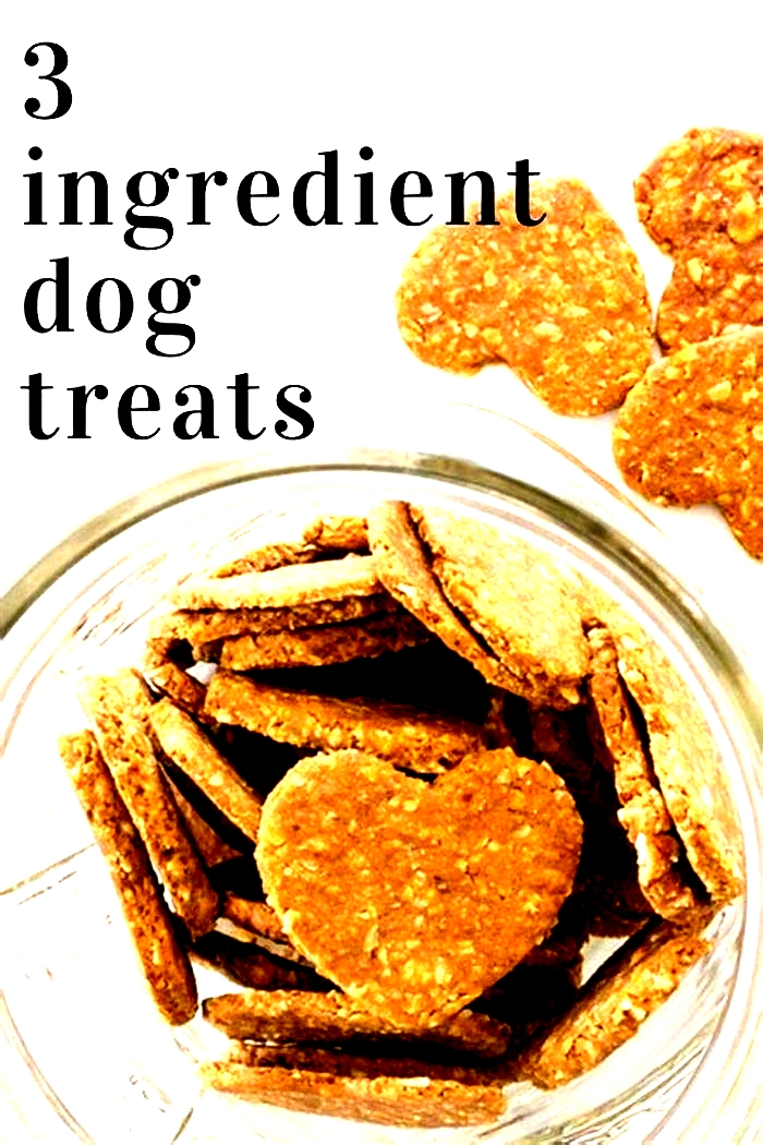 3 ingredient dog treats