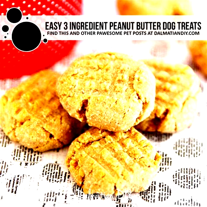 3 ingredient peanut butter dog treats no oats