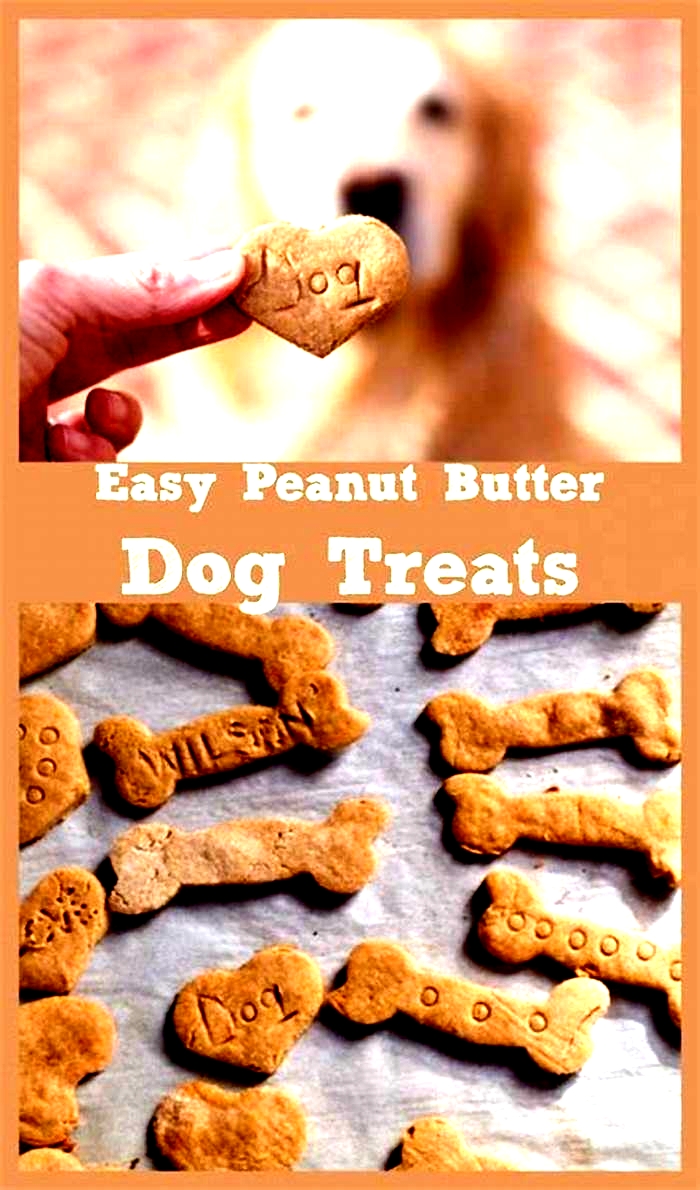 4-ingredient peanut butter dog treats recipe