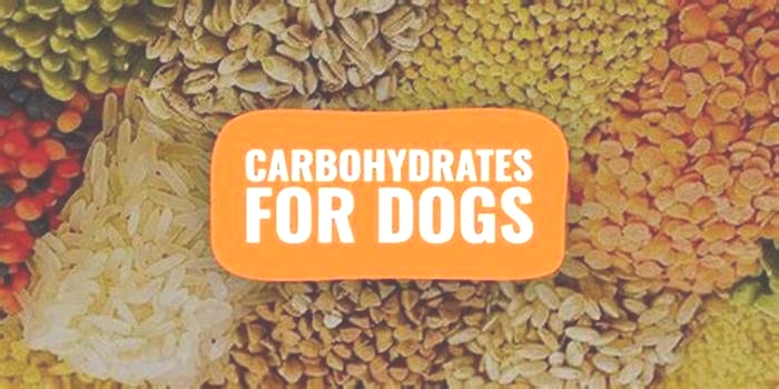 Are too many carbs bad for dogs?