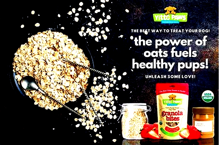 are oats good for dogs uk