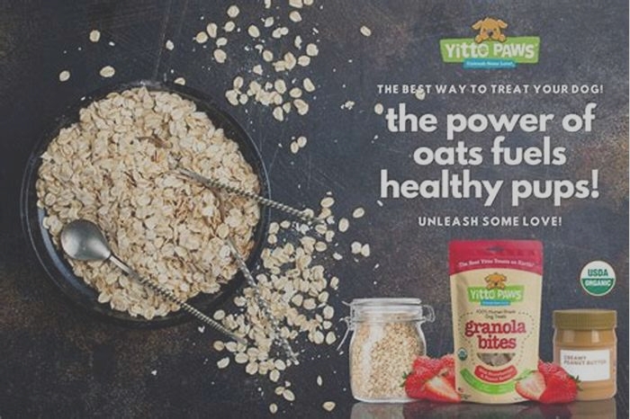 are oats okay for dogs to eat