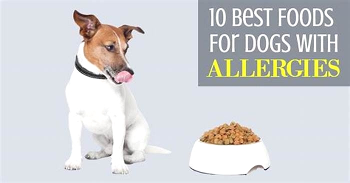 best carbs for dogs with allergies