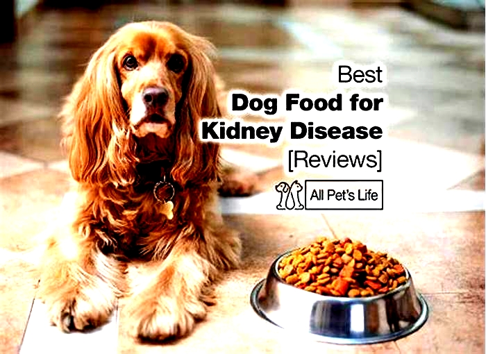 best carbs for dogs with kidney disease