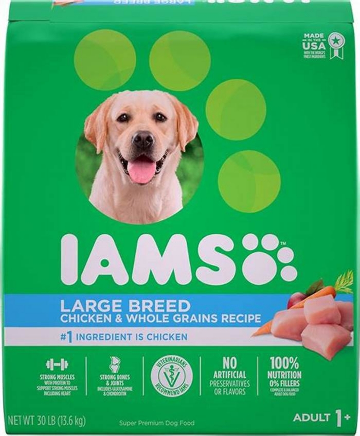 best dog food for allergies and yeast infections reddit