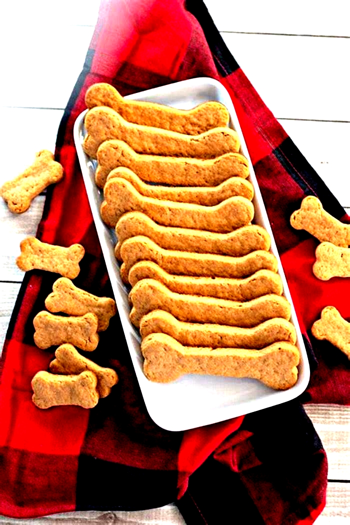 best dog treat recipes