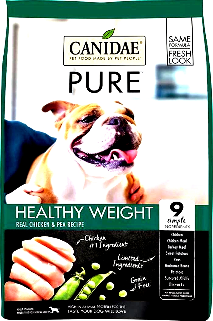 best dry dog food for weight loss