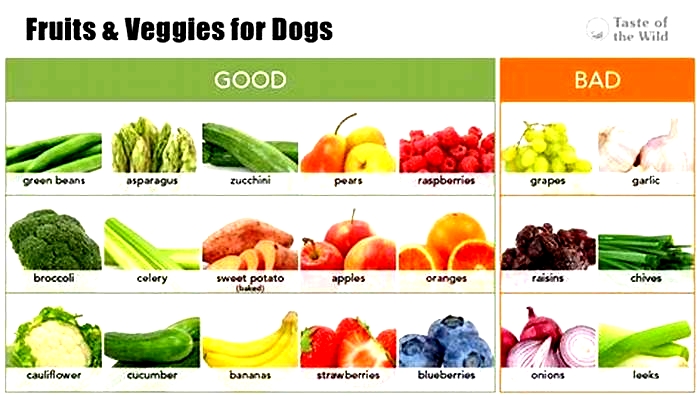 best raw fruits and veggies for dogs