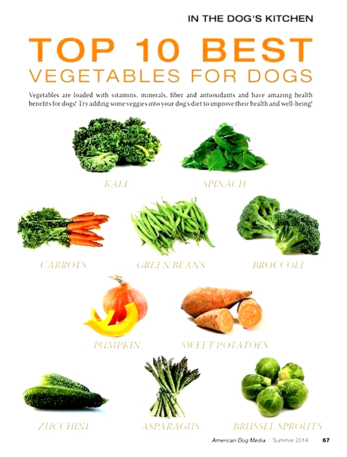 best vegetables for dogs