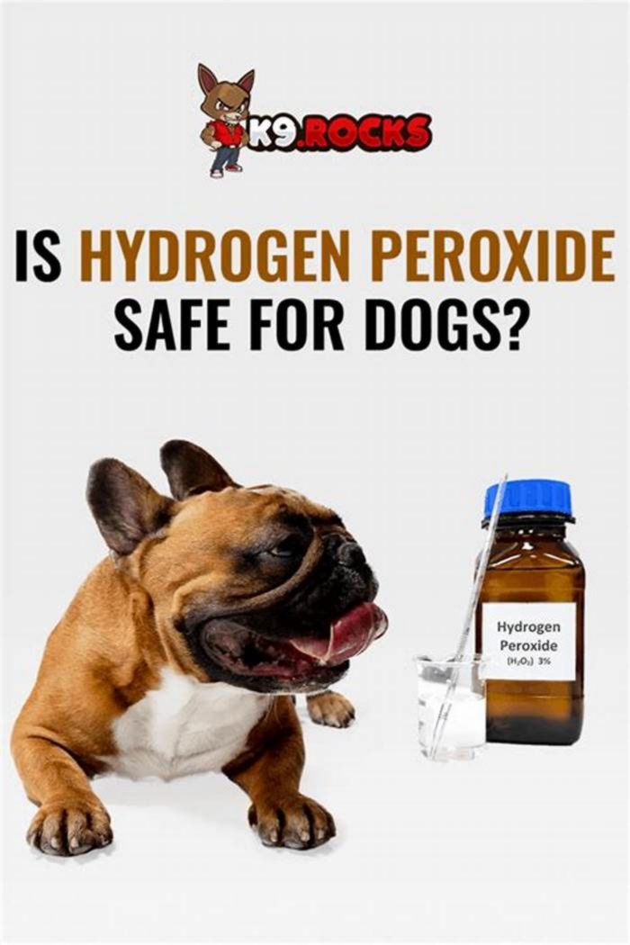 can my dog eat after hydrogen peroxide