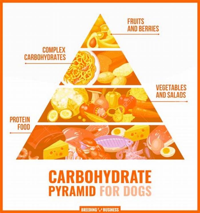 Do active dogs need more carbs?