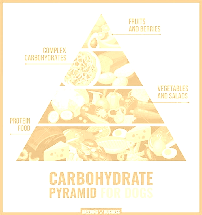 Do dogs like carbohydrates?