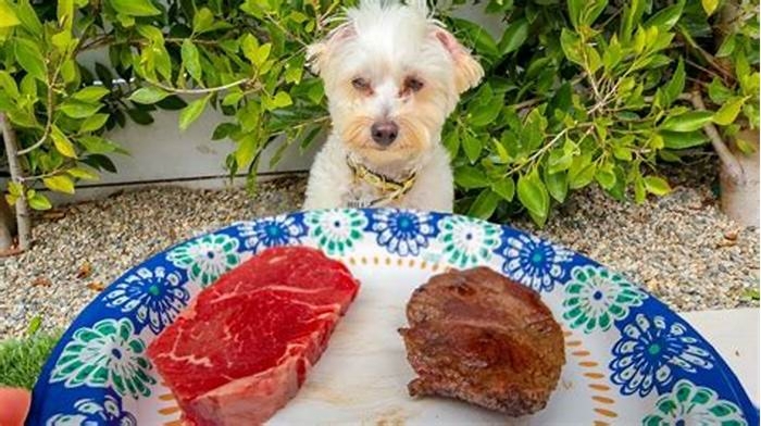 Do dogs prefer raw or cooked meat?