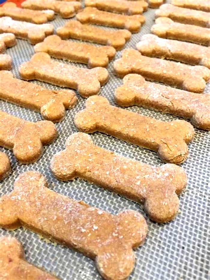 dog treat recipes with pumpkin and peanut butter