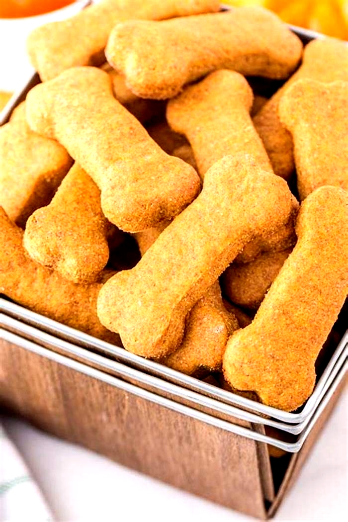 dog treat recipes with pumpkin