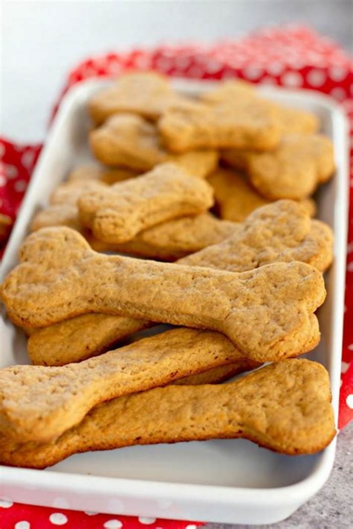 dog treat recipes