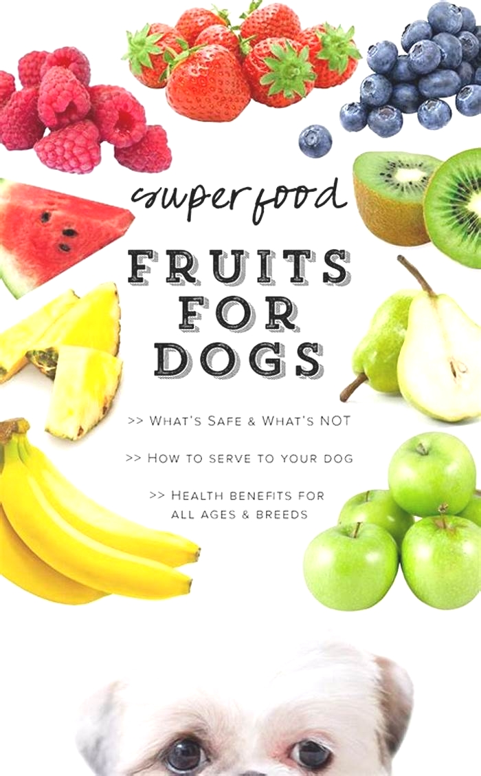 fruits good for dogs