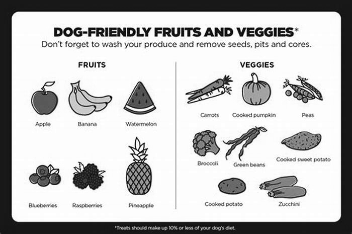 good human snacks for dogs