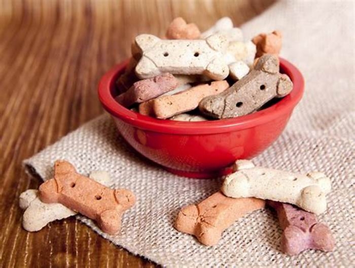 good snacks for dogs before bed