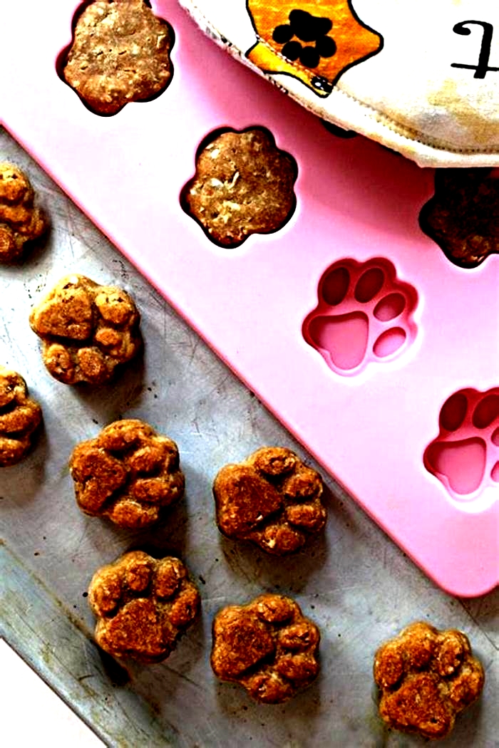 healthy dog treat recipes for molds