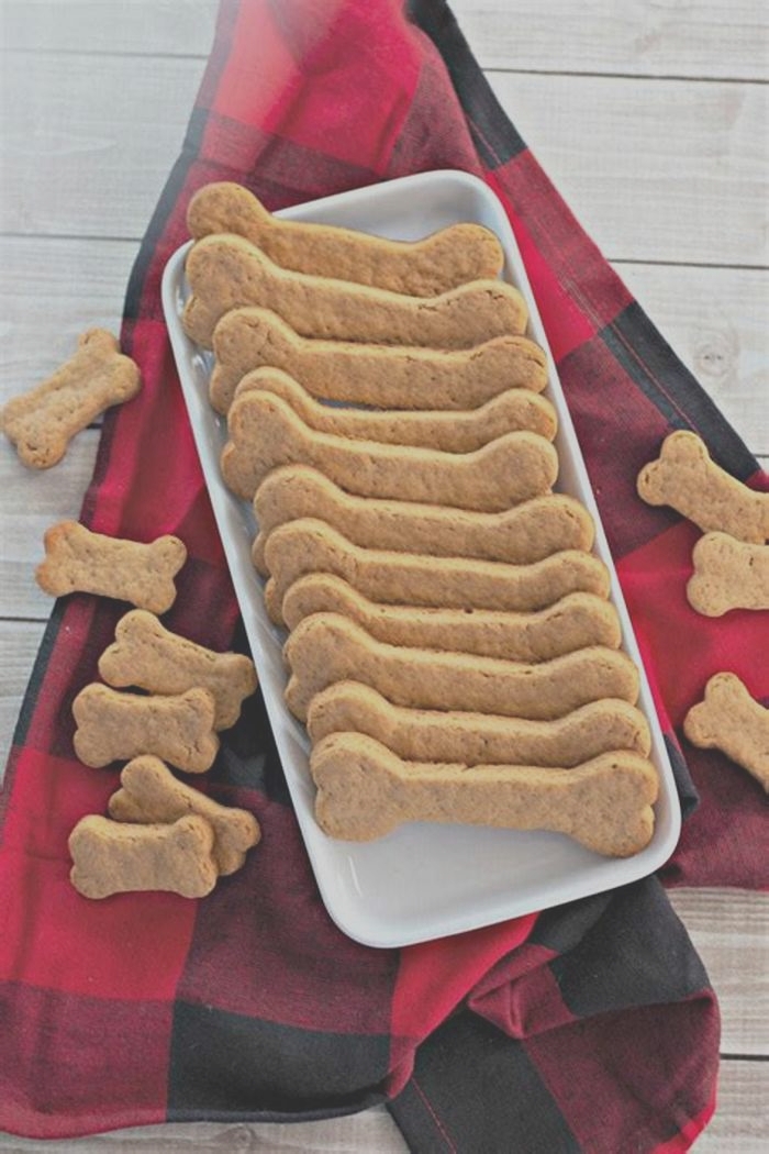 healthy dog treats recipe no pumpkin