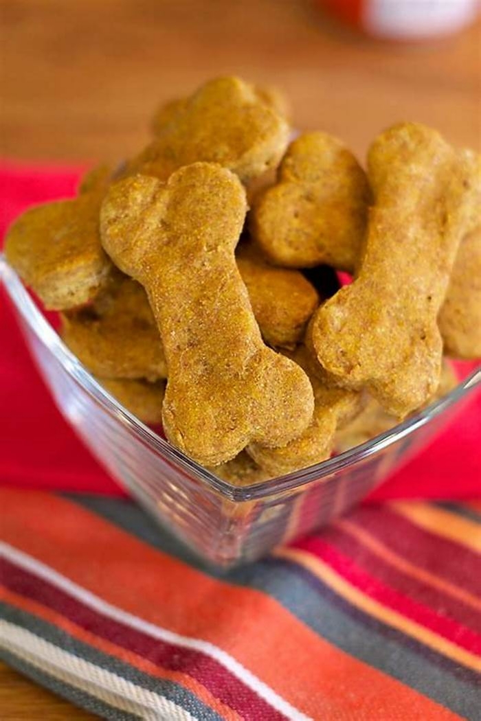 healthy dog treats recipe pumpkin