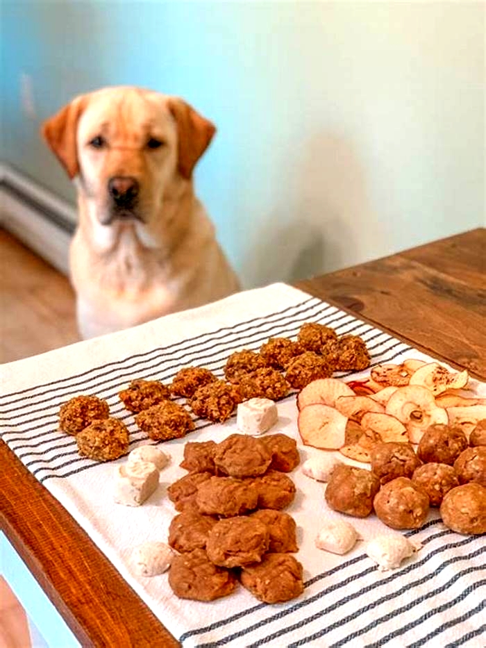 healthy natural treats for dogs