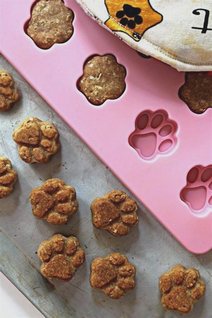 healthy treats for dogs homemade