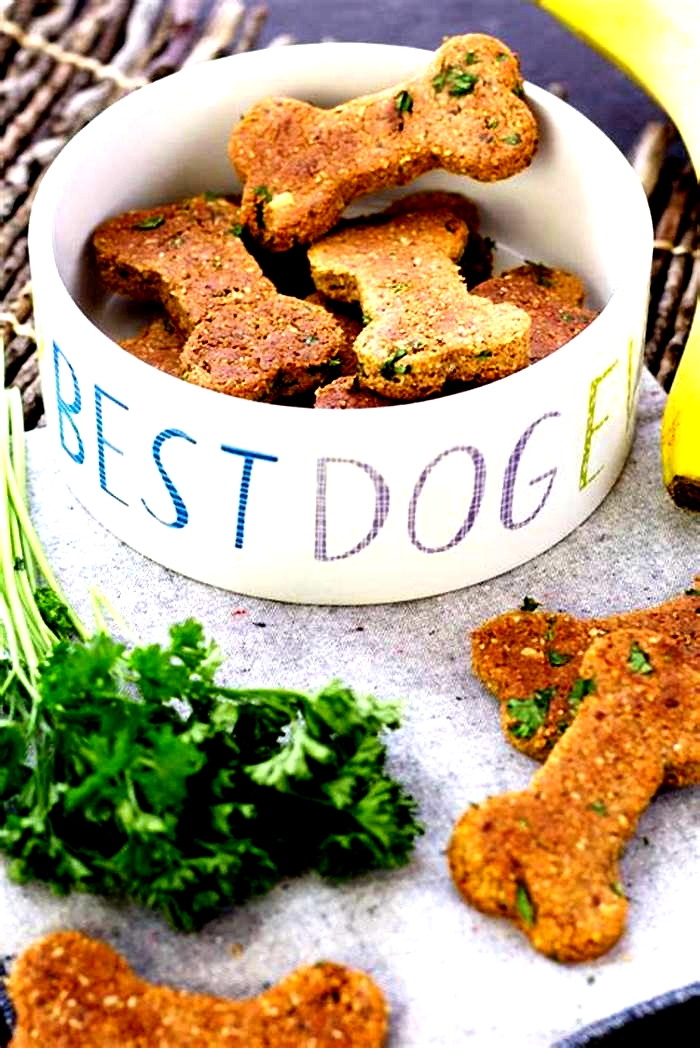 herbal dog treats recipes