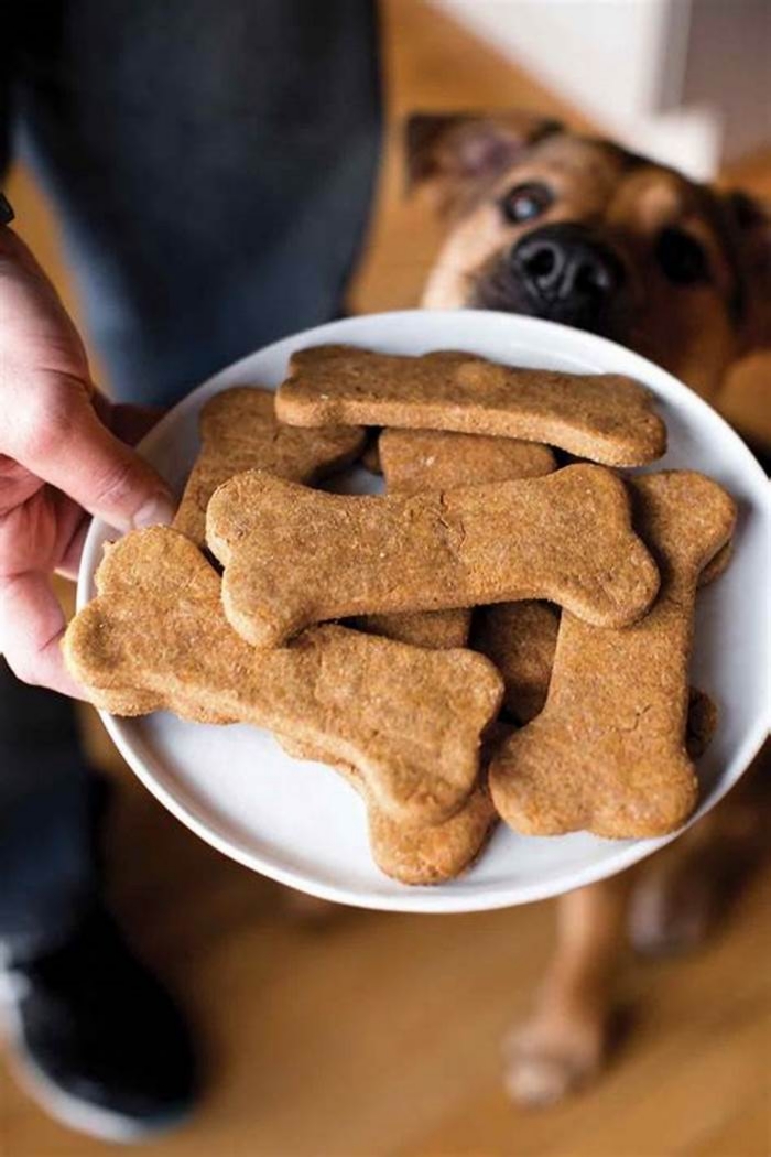 high-calorie dog treats homemade