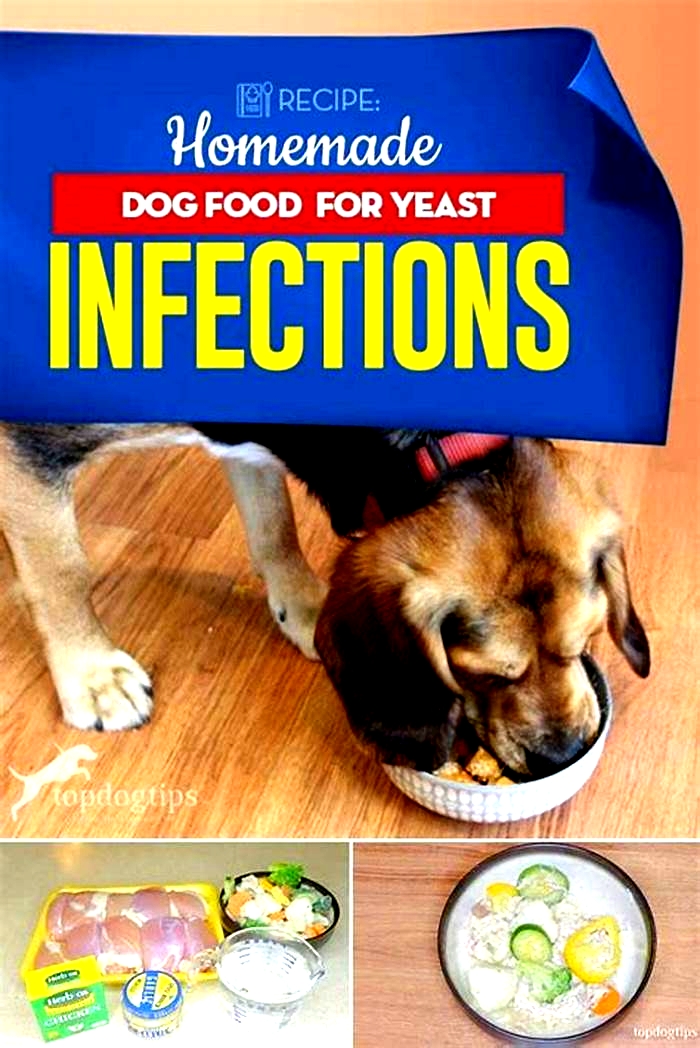 homemade dog food for dogs with yeast infection