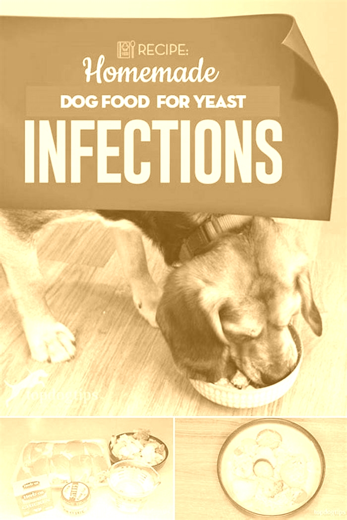 homemade dog food for dogs with yeast problems