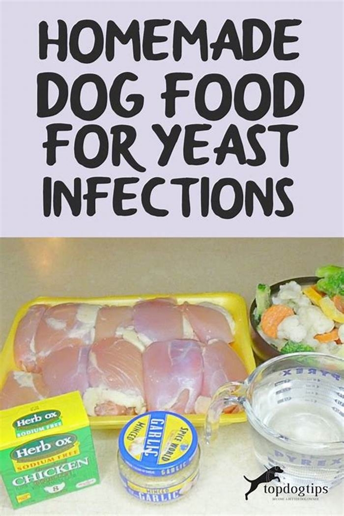 homemade dog food for yeast infections recipes