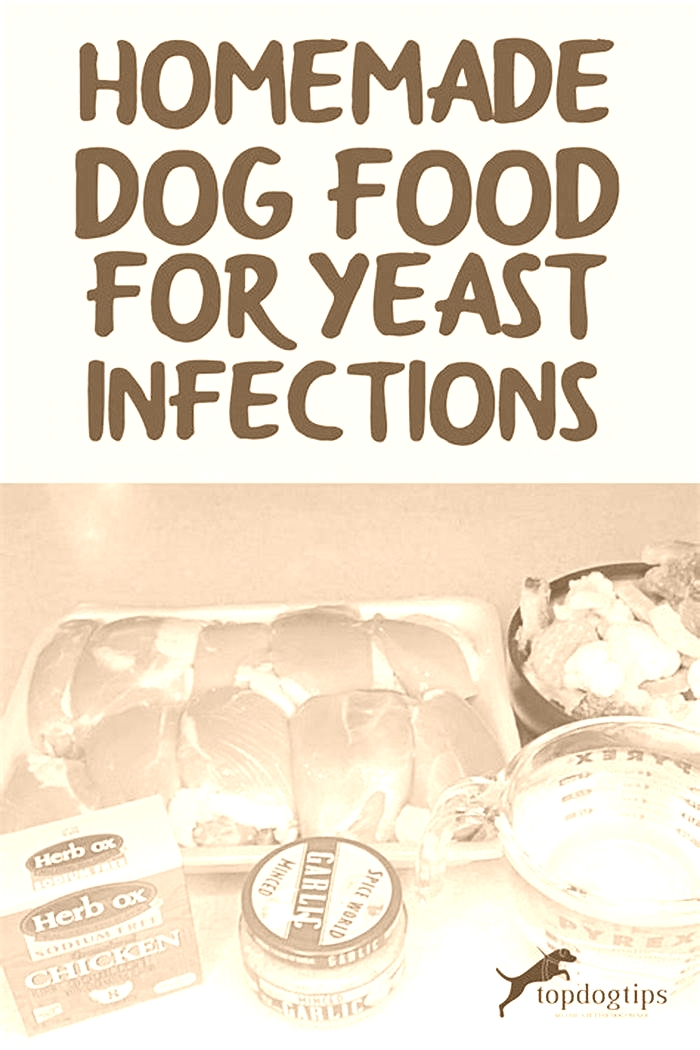 homemade dog food for yeast infections