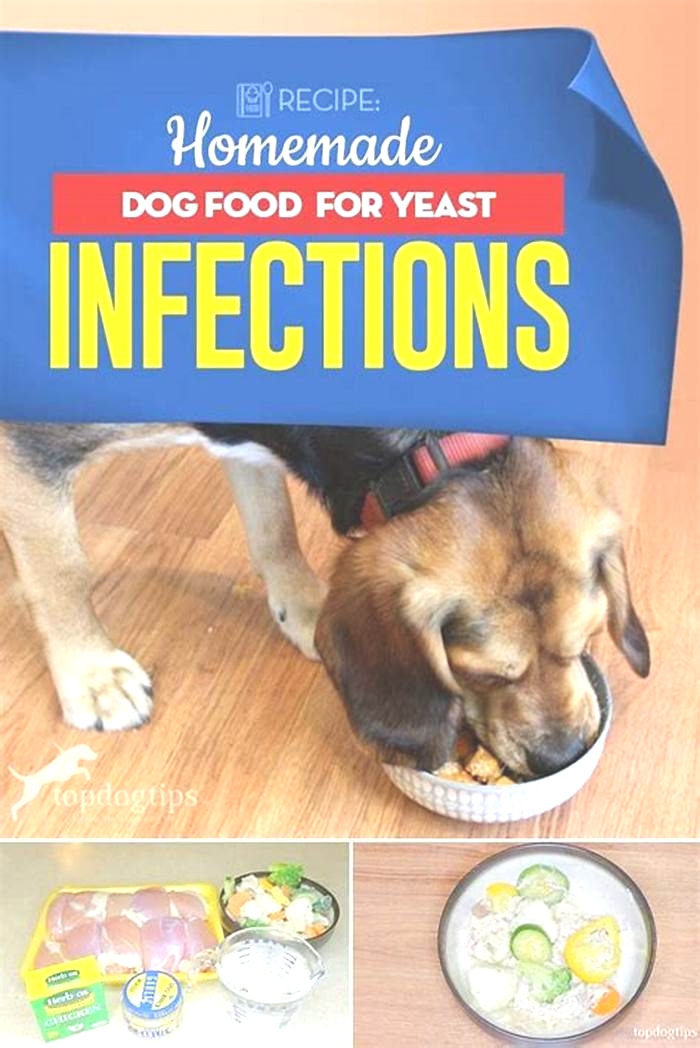 homemade dog food recipe for dogs with yeast problems