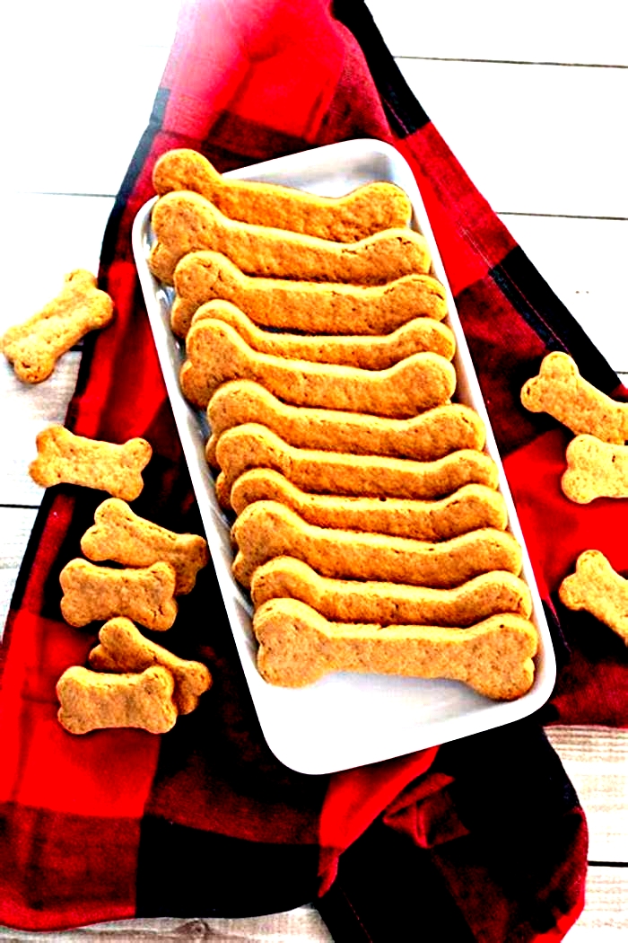 homemade dog treats recipe healthy