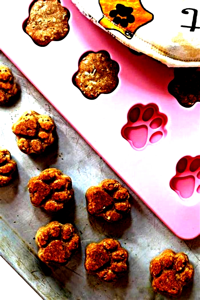 homemade dog treats recipes vet approved