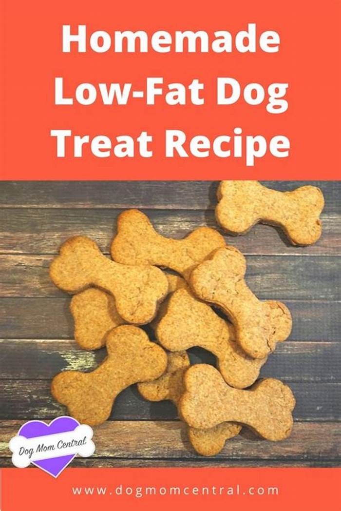 homemade low fat dog treats pancreatitis