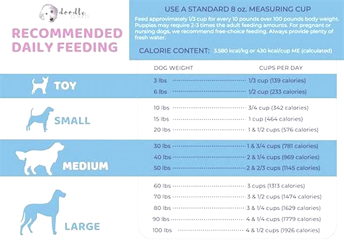 How many grams can a dog eat per day?