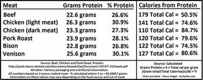 How much protein does dog need per day?