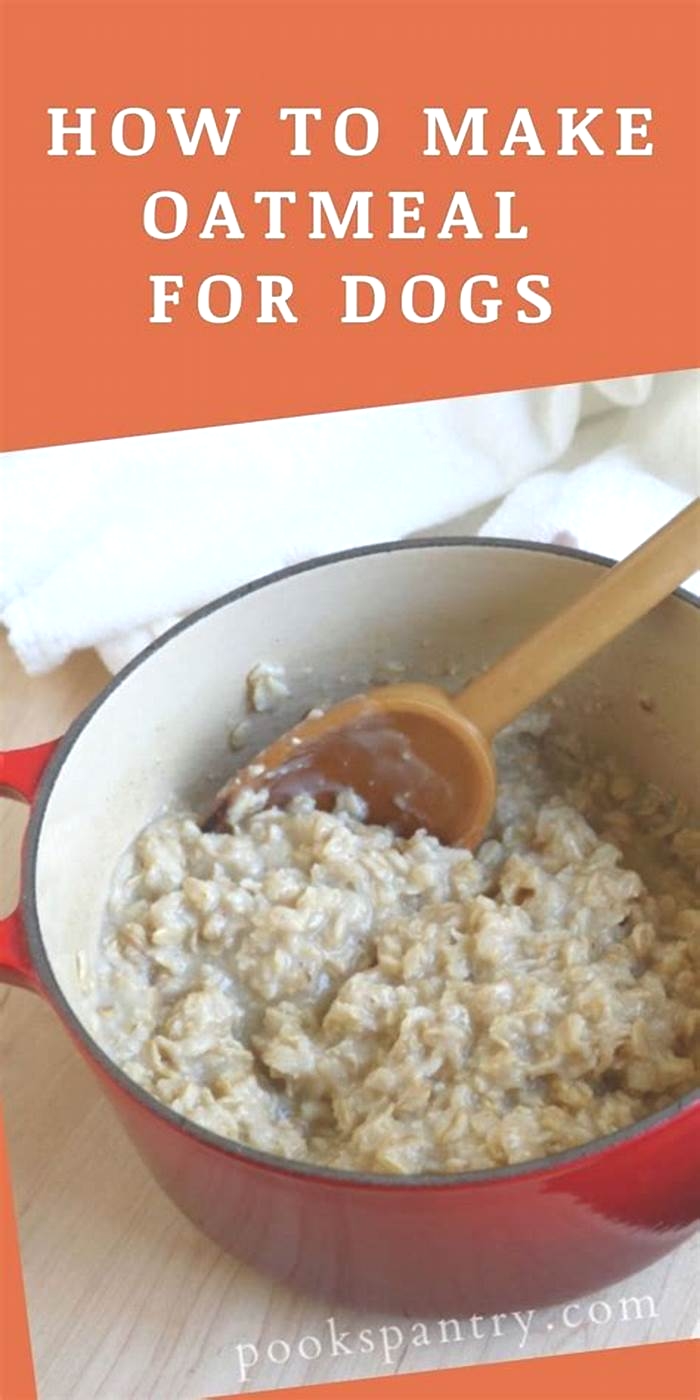 how healthy is oatmeal for dogs