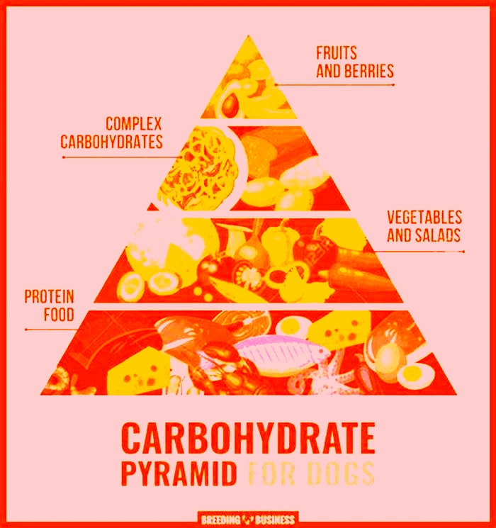 how much carbohydrates does a dog need per day