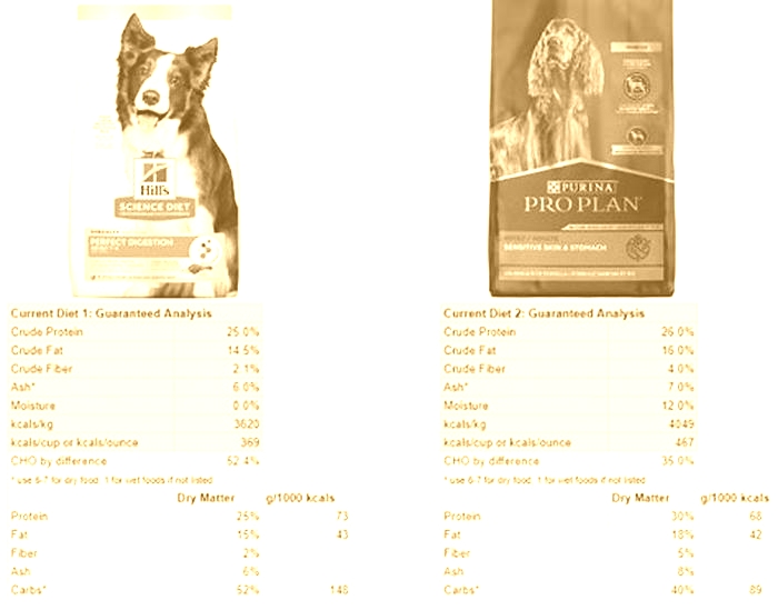 how to calculate grams of protein in dog food