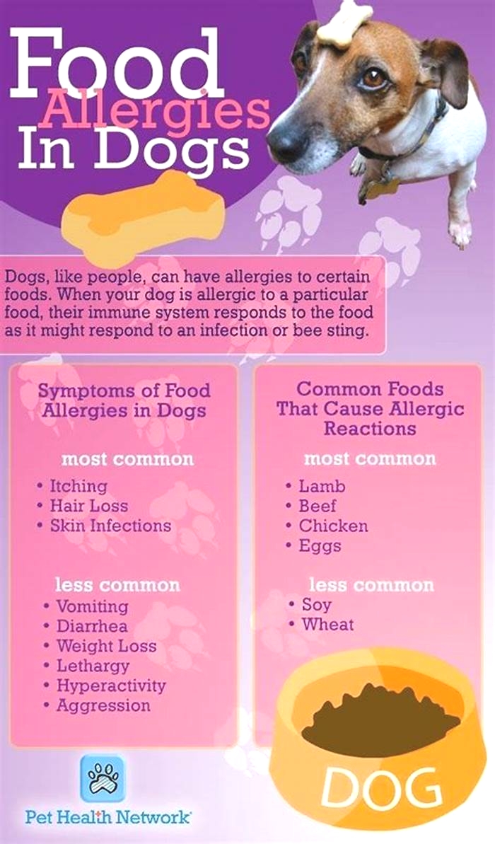 human food for dogs with allergies