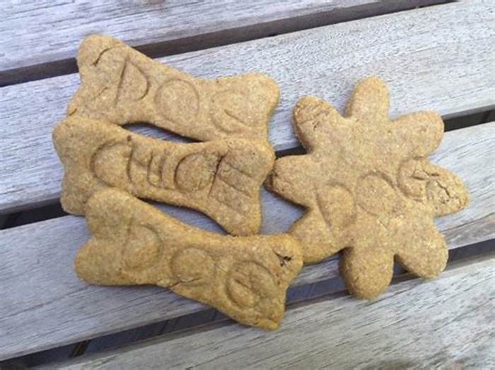 humane society dog treat recipe