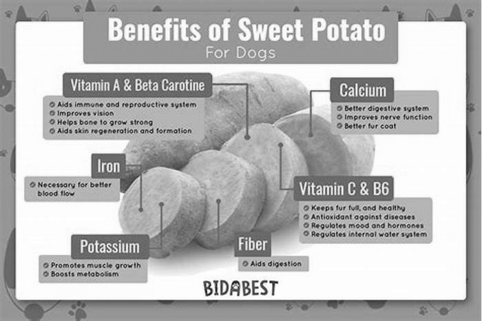 Is Sweet Potato a carbohydrate for dogs?