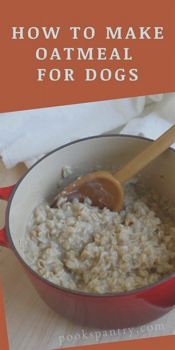 Is oatmeal or rice better for dogs?