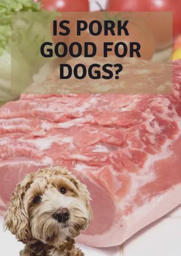 Is pork too rich for dogs?