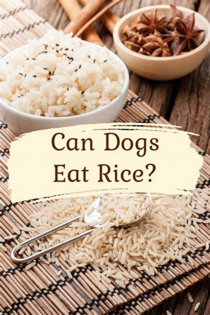 Is rice ok for diabetic dogs?